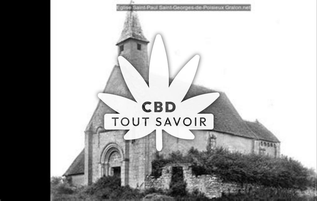 Village à Poisieux avec feuille Cannabis CBD