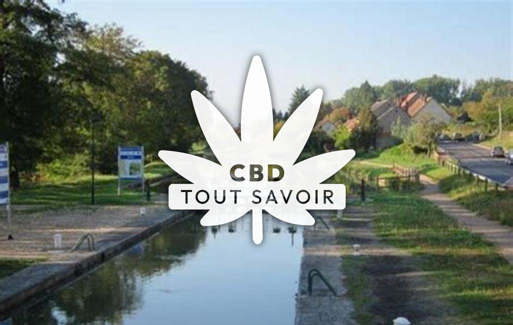 Village à Bannay avec feuille Cannabis CBD
