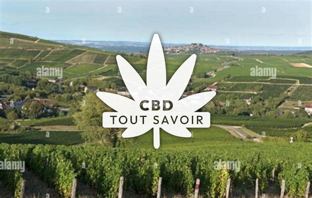 Village à Bue avec feuille Cannabis CBD