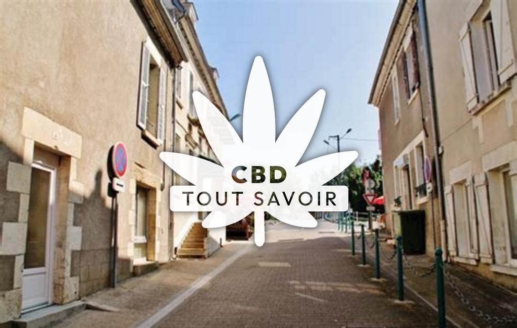 Village à Menetreol-sous-Sancerre avec feuille Cannabis CBD