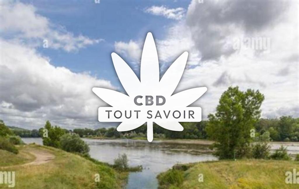 Village à Cours-les-Barres avec feuille Cannabis CBD