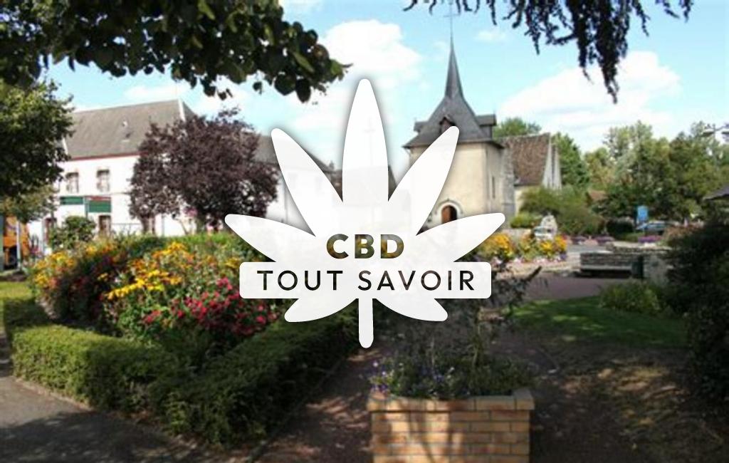 Village à Neuvy-sur-Barangeon avec feuille Cannabis CBD