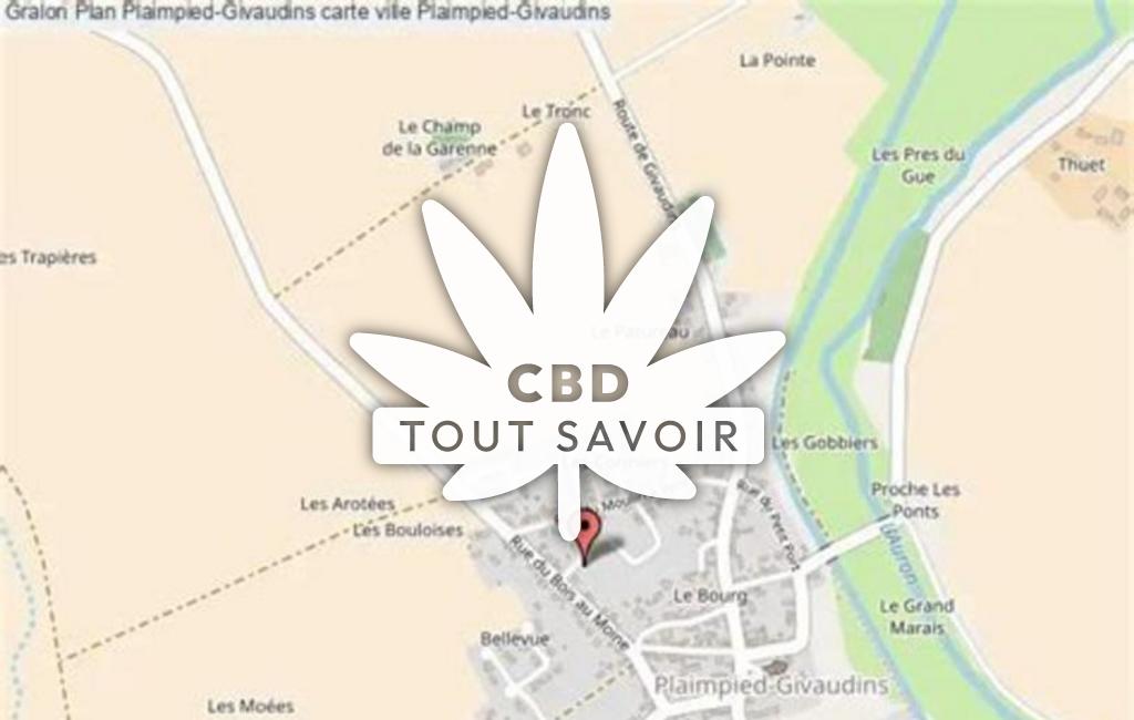 Village à Plaimpied-Givaudins avec feuille Cannabis CBD