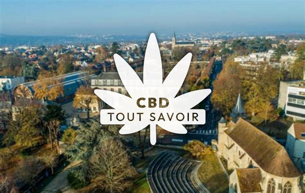 Village à Croisy avec feuille Cannabis CBD