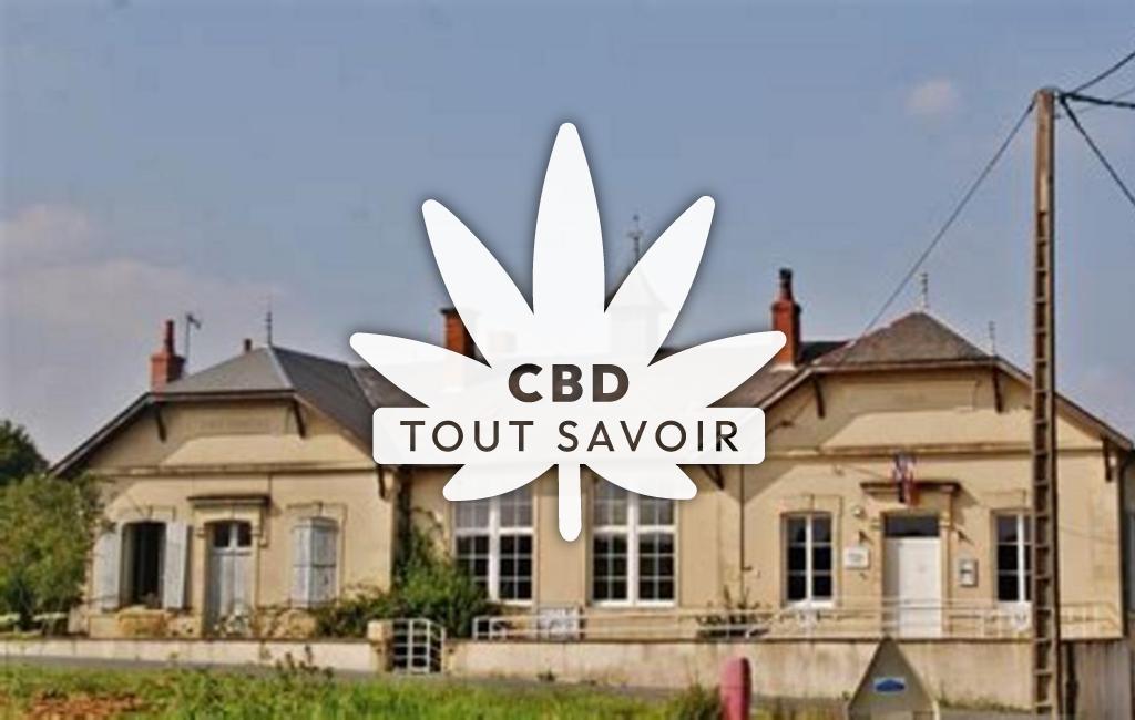 Village à Saint-Hilaire-de-Gondilly avec feuille Cannabis CBD