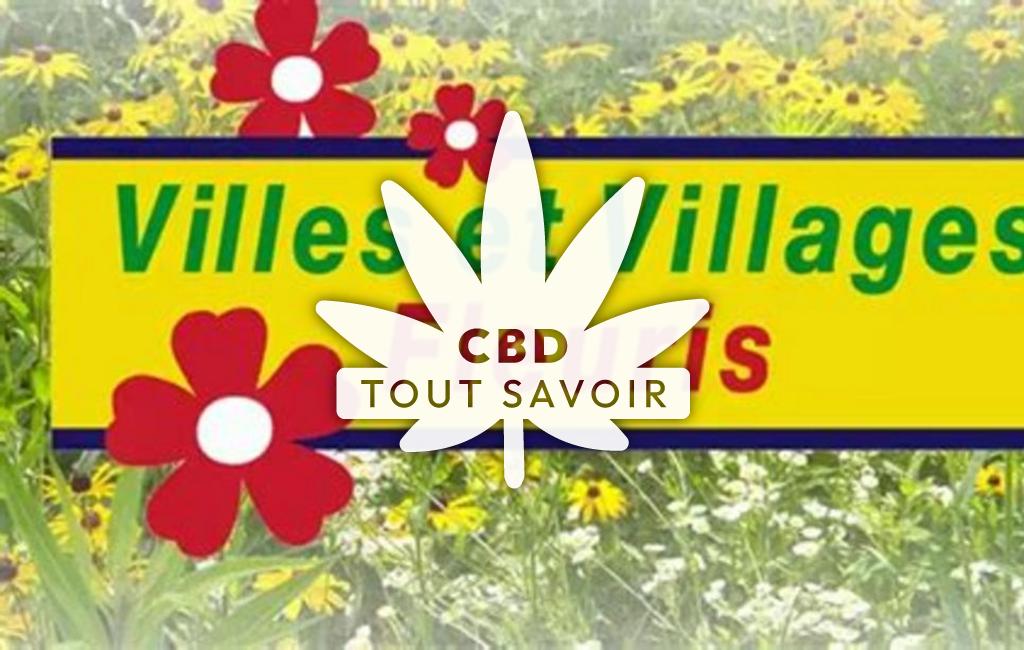 Village à Saulzais-le-Potier avec feuille Cannabis CBD