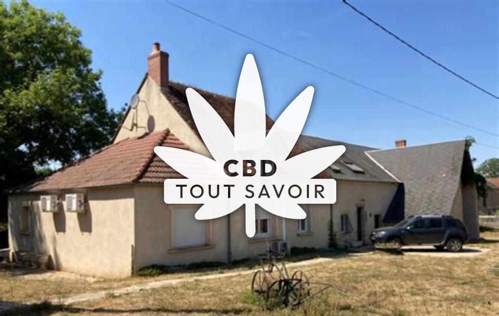 Village à Saint-Jeanvrin avec feuille Cannabis CBD
