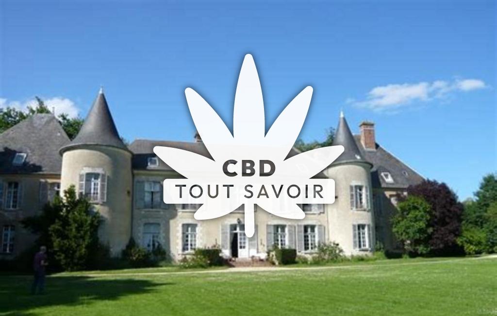Village à Ivoy-le-Pre avec feuille Cannabis CBD