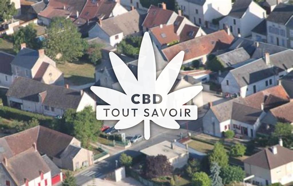 Village à Villeneuve-sur-Cher avec feuille Cannabis CBD