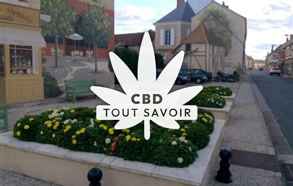 Village à Argent-sur-Sauldre avec feuille Cannabis CBD
