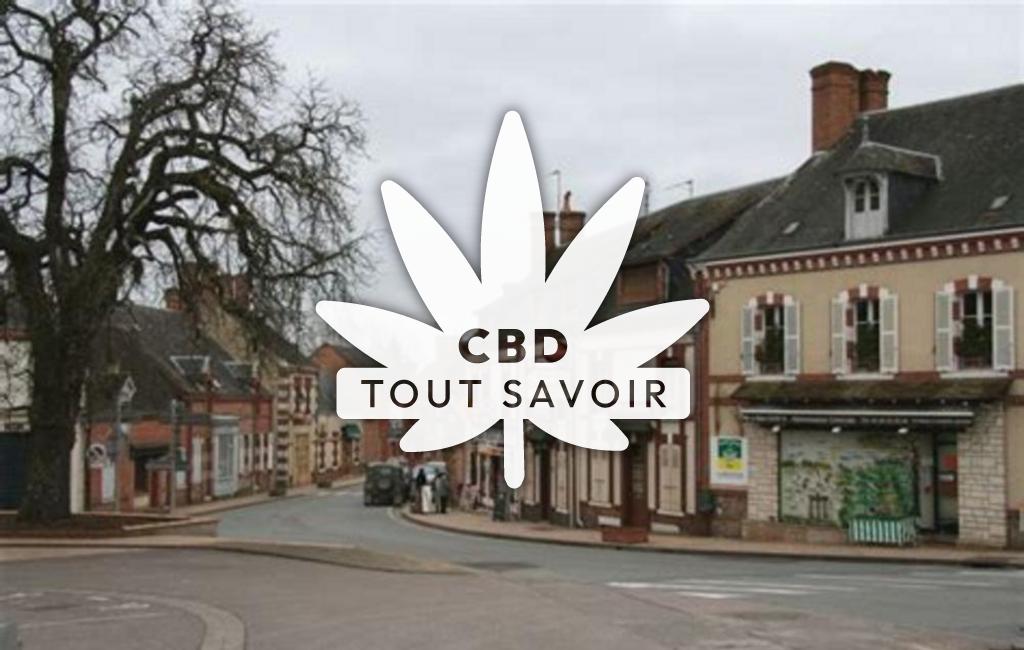 Village à Brinon-sur-Sauldre avec feuille Cannabis CBD
