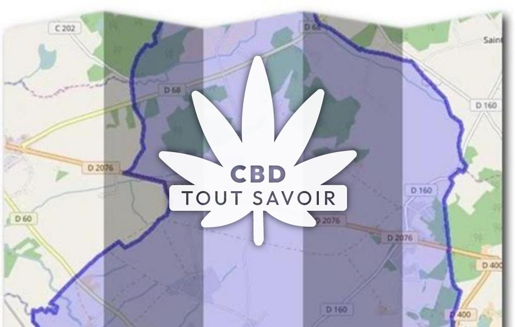 Village à Berry-Bouy avec feuille Cannabis CBD