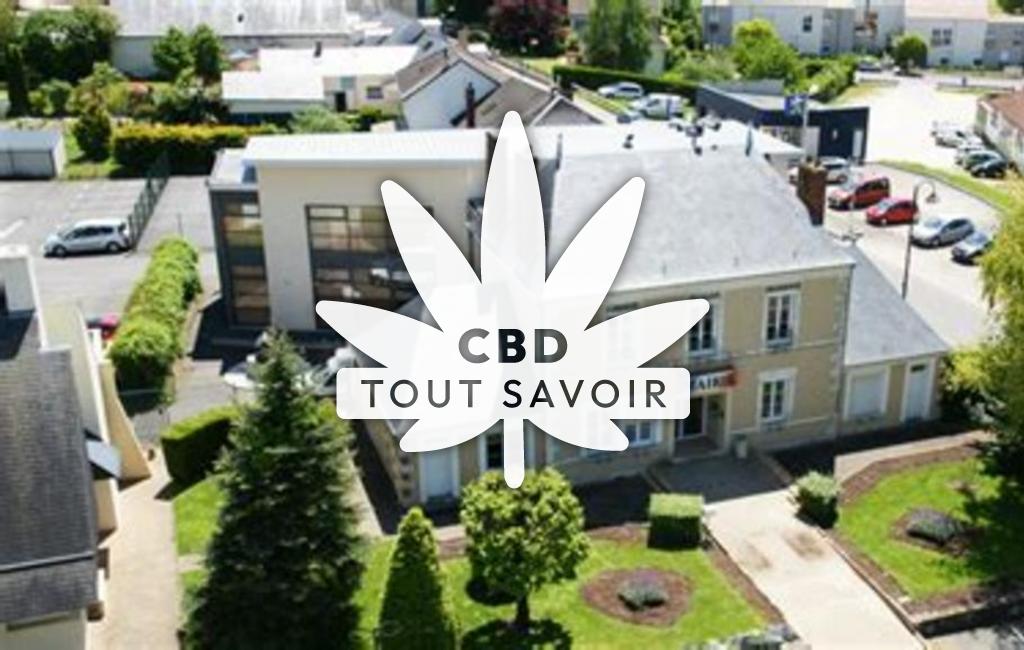 Village à La-Chapelle-Saint-Ursin avec feuille Cannabis CBD