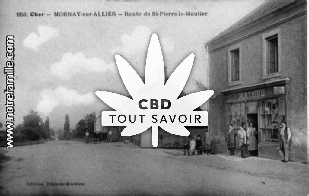 Village à Mornay-sur-Allier avec feuille Cannabis CBD