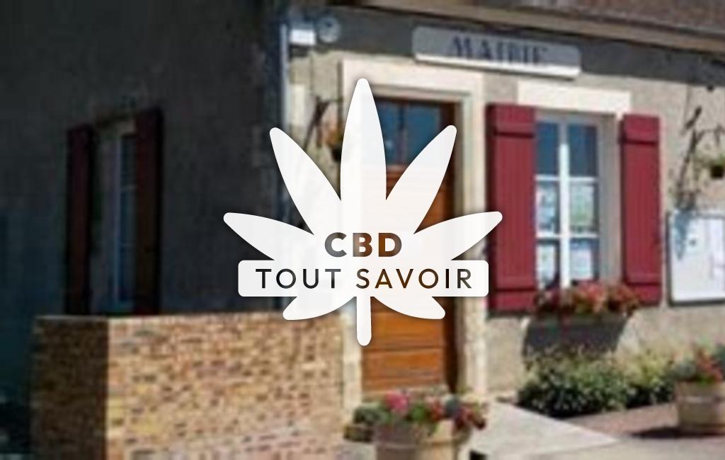 Village à Neuvy-le-Barrois avec feuille Cannabis CBD