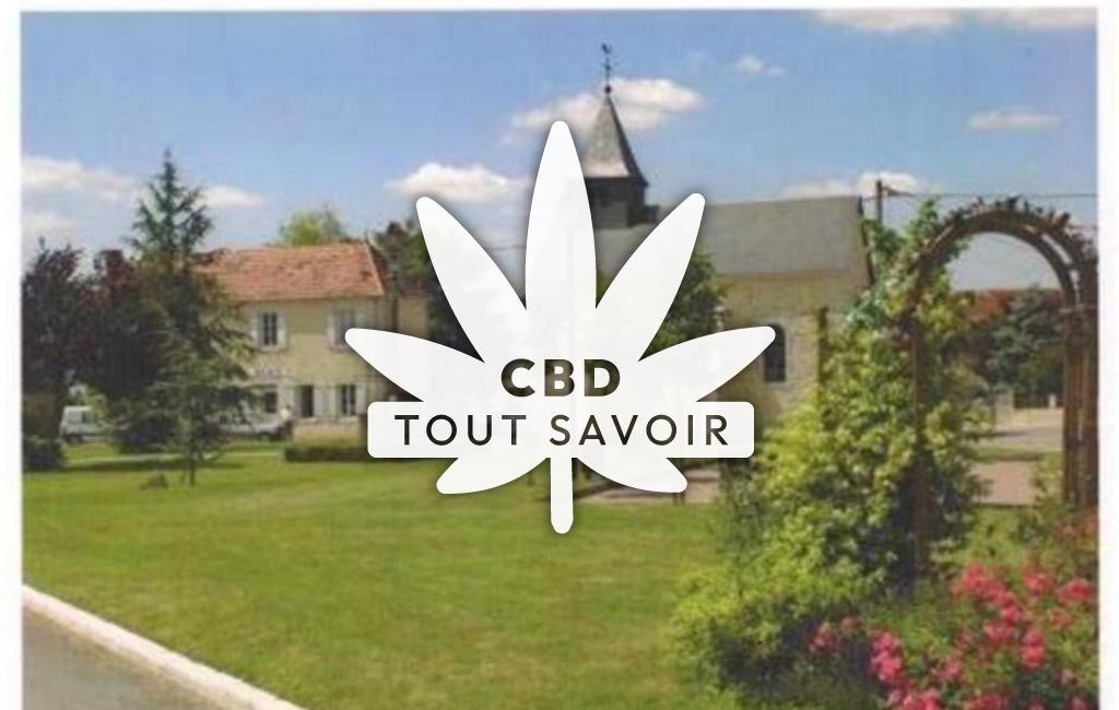 Village à Saint-Aignan-des-Noyers avec feuille Cannabis CBD