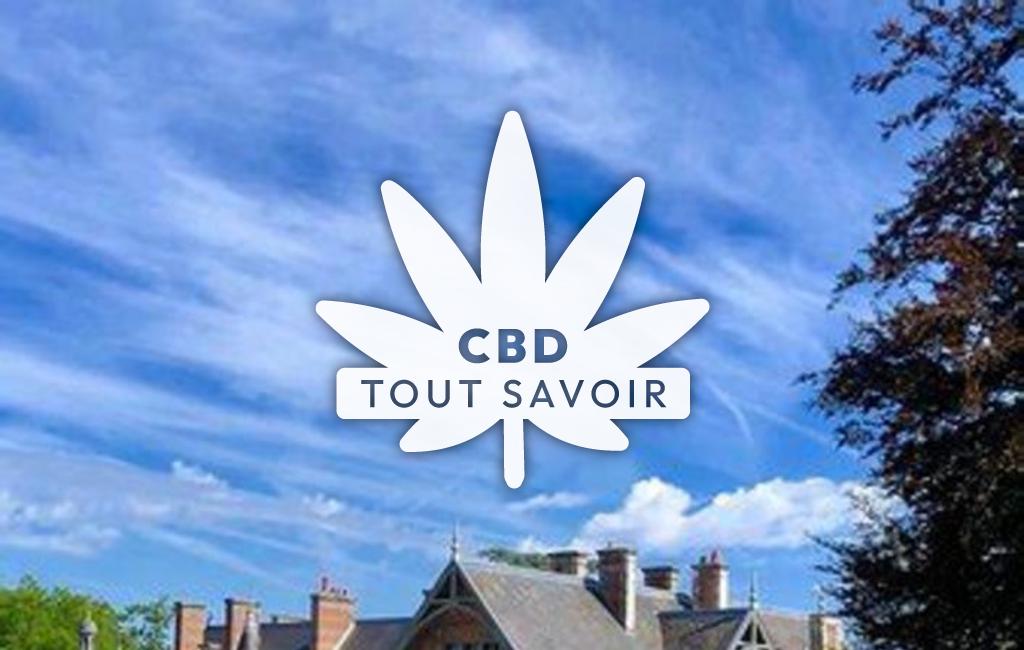 Village à Menetreol-sur-Sauldre avec feuille Cannabis CBD
