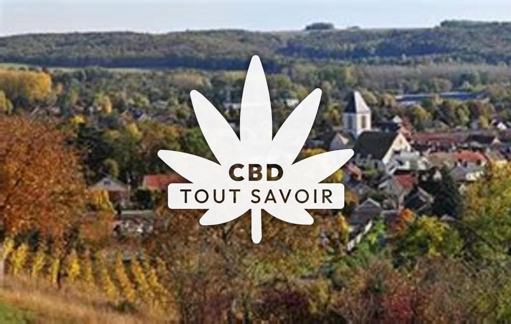 Village à Etrechy avec feuille Cannabis CBD