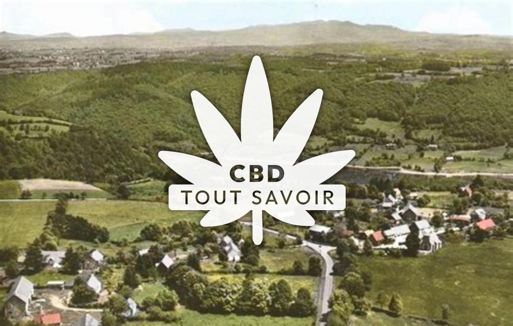 Village à Monestier-Port-Dieu avec feuille Cannabis CBD