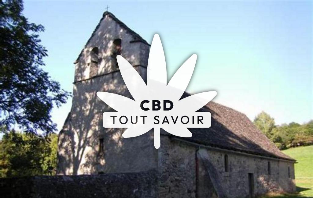 Village à Chenailler-Mascheix avec feuille Cannabis CBD