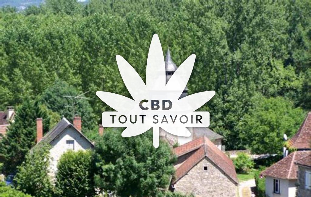 Village à La-Chapelle-aux-Saints avec feuille Cannabis CBD