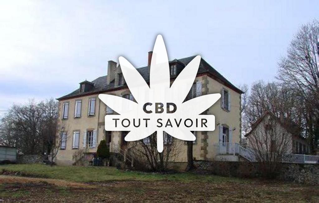 Village à Liourdres avec feuille Cannabis CBD