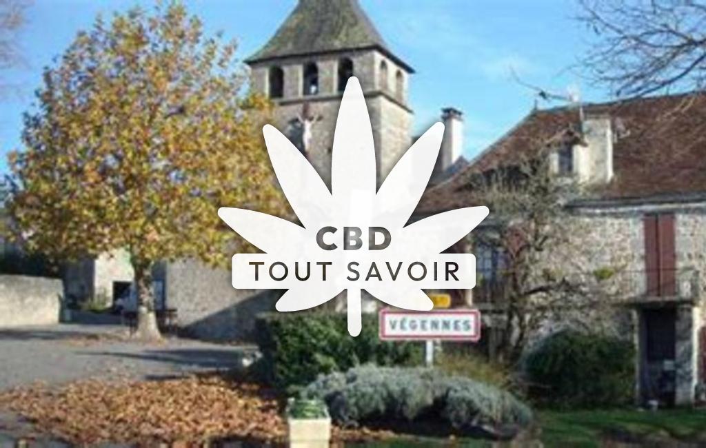 Village à Vegennes avec feuille Cannabis CBD