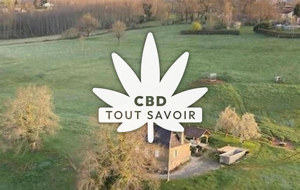 Village à Saint-Cyr-la-Roche avec feuille Cannabis CBD