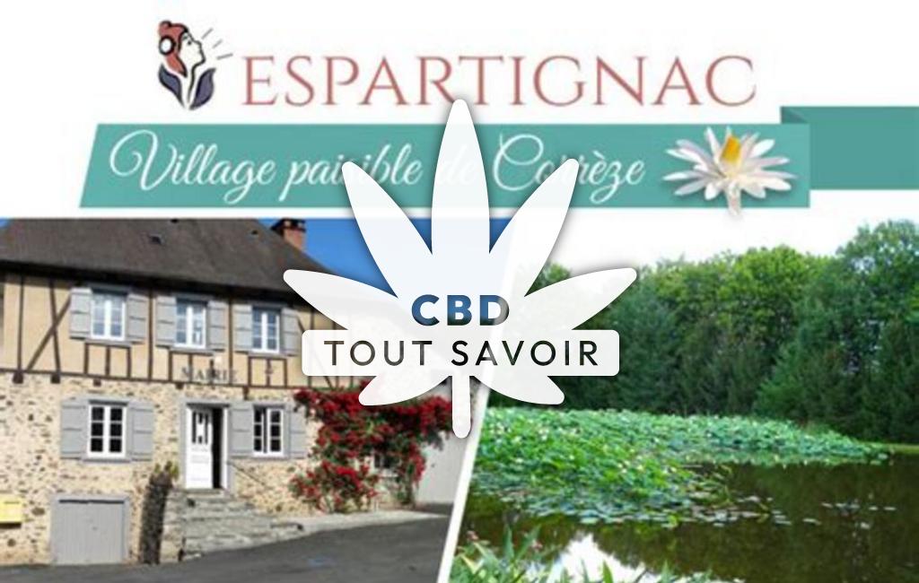 Village à Espartignac avec feuille Cannabis CBD
