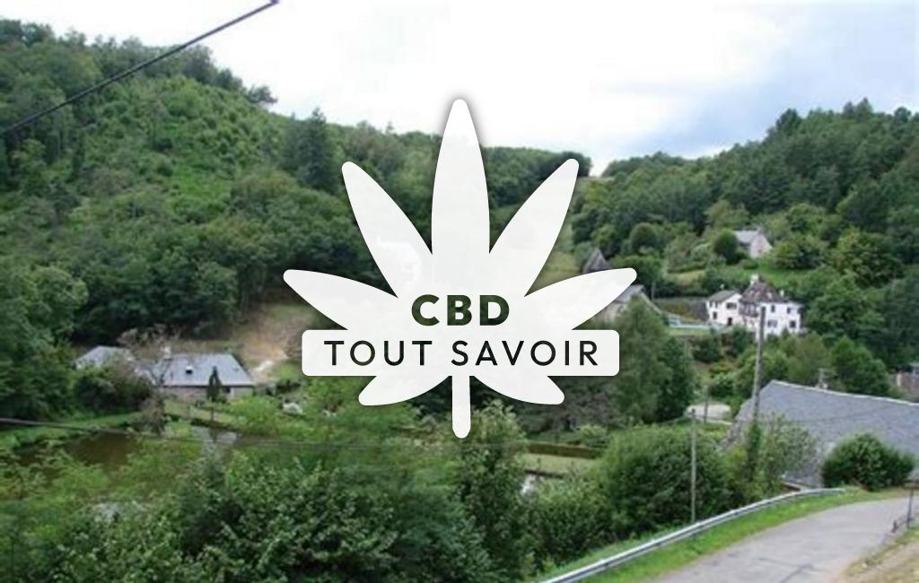 Village à Ladignac-sur-Rondelles avec feuille Cannabis CBD