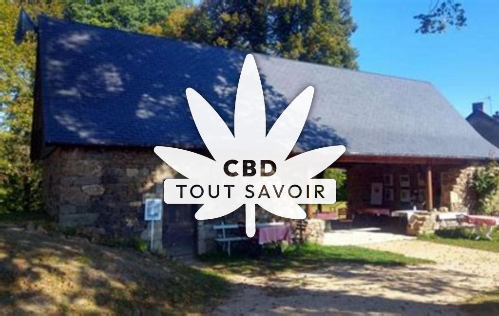 Village à Saint-Hilaire-Luc avec feuille Cannabis CBD