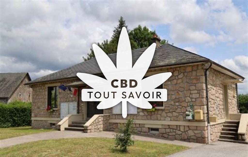Village à Sainte-Marie-Lapanouze avec feuille Cannabis CBD
