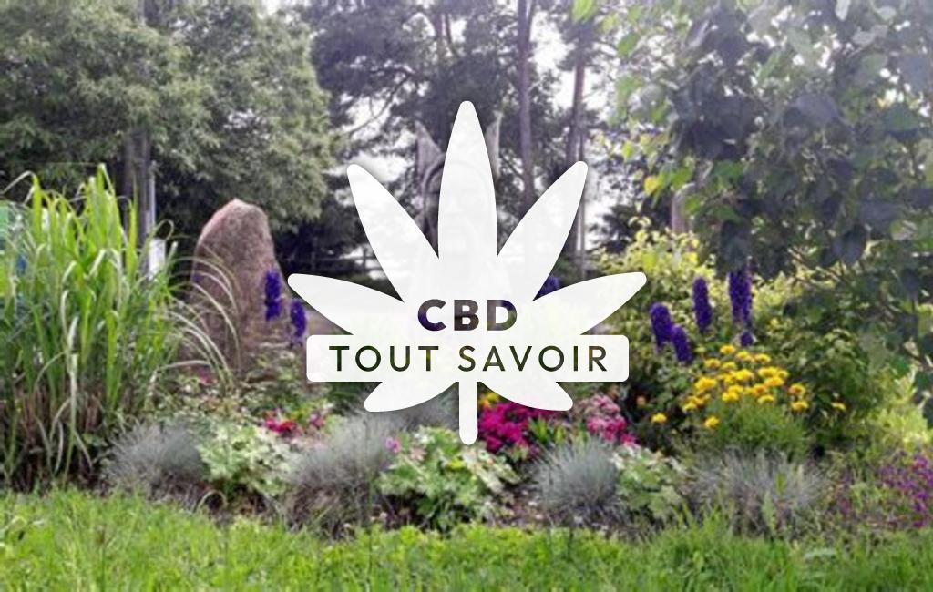 Village à Palazinges avec feuille Cannabis CBD
