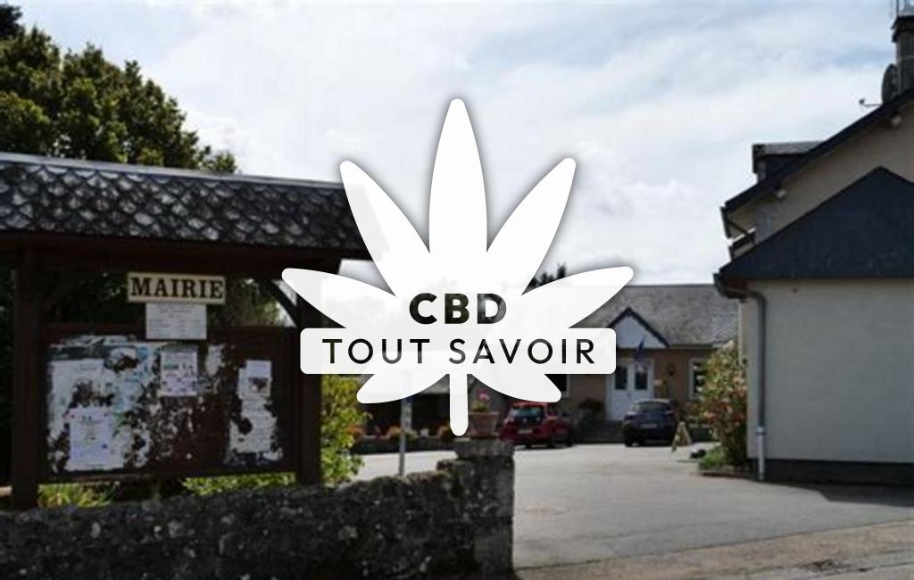 Village à Chaveroche avec feuille Cannabis CBD