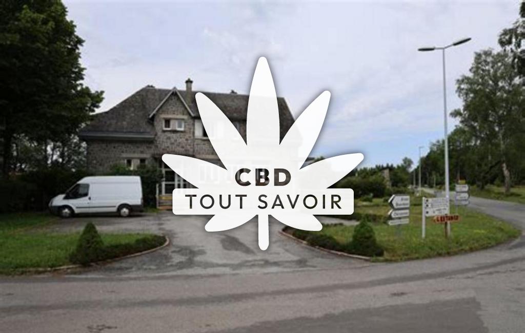 Village à Confolent-Port-Dieu avec feuille Cannabis CBD