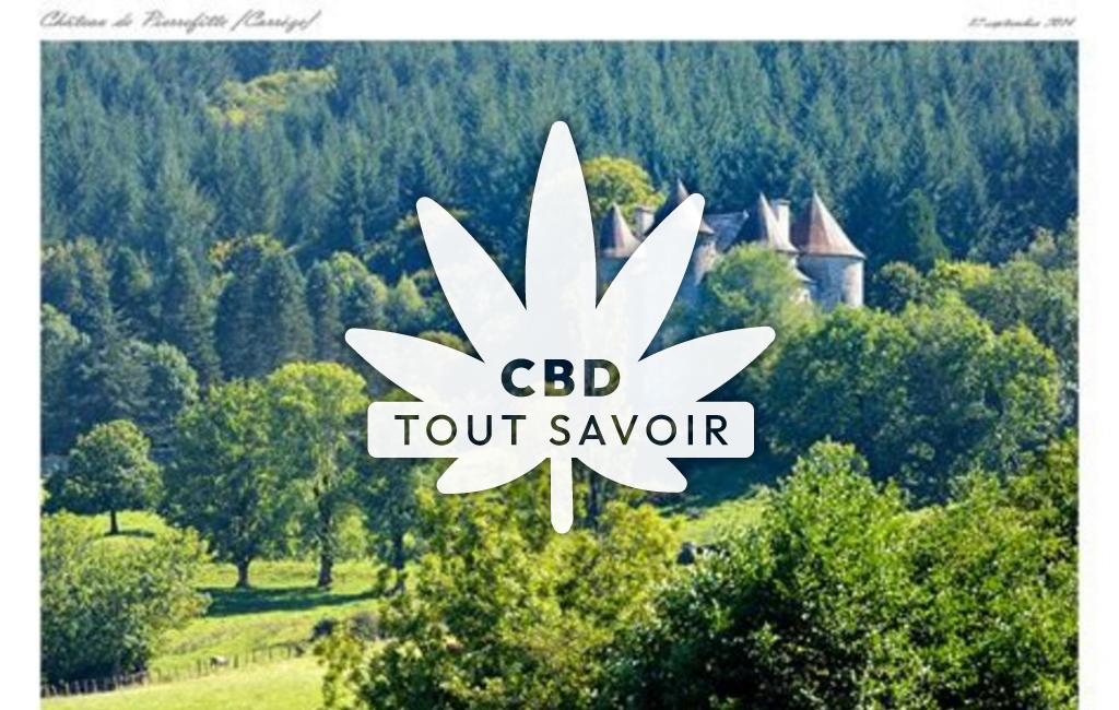 Village à Margerides avec feuille Cannabis CBD