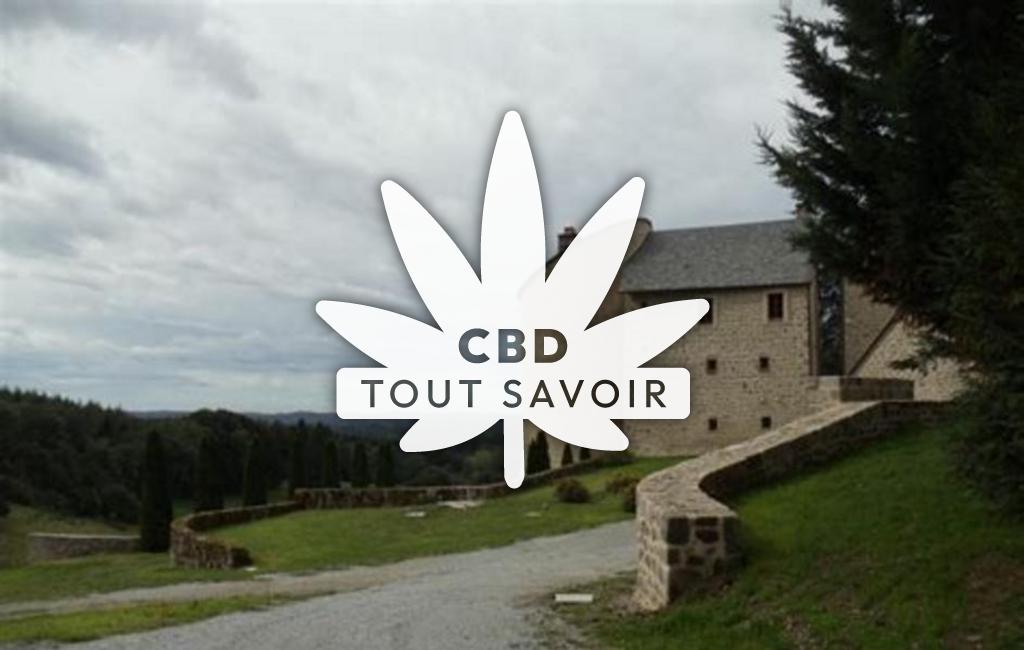 Village à Saint-Victour avec feuille Cannabis CBD