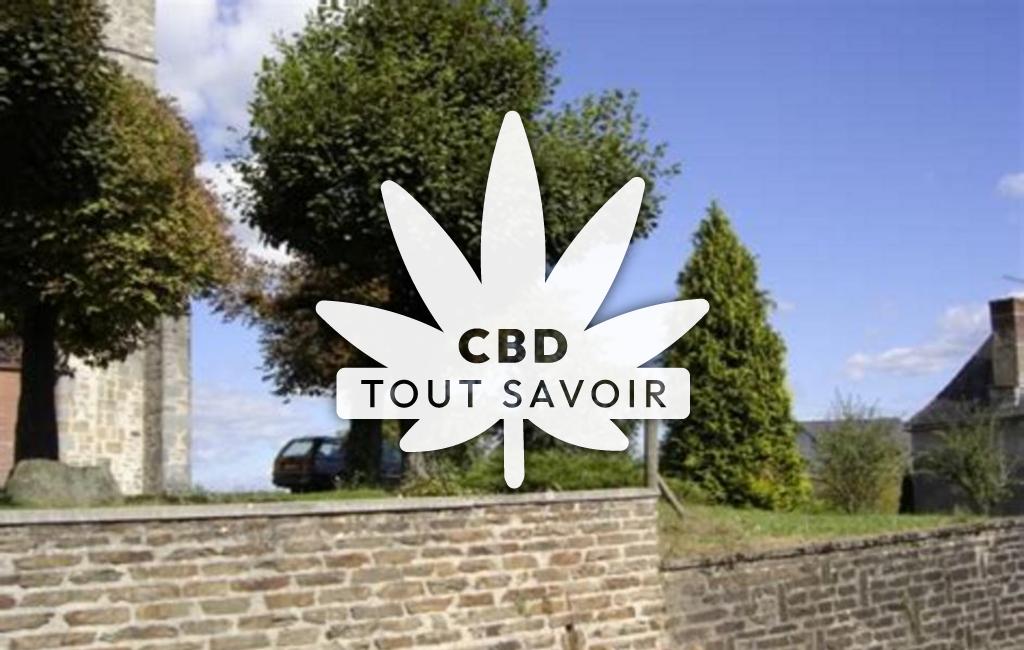 Village à Saint-Julien-le-Vendomois avec feuille Cannabis CBD