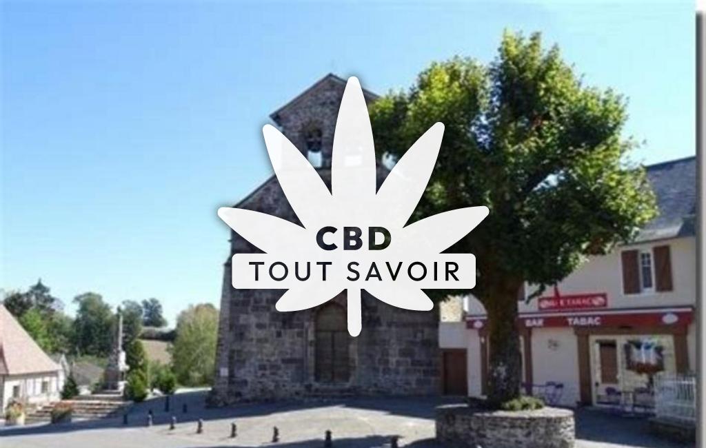 Village à Saint-Pardoux-Corbier avec feuille Cannabis CBD