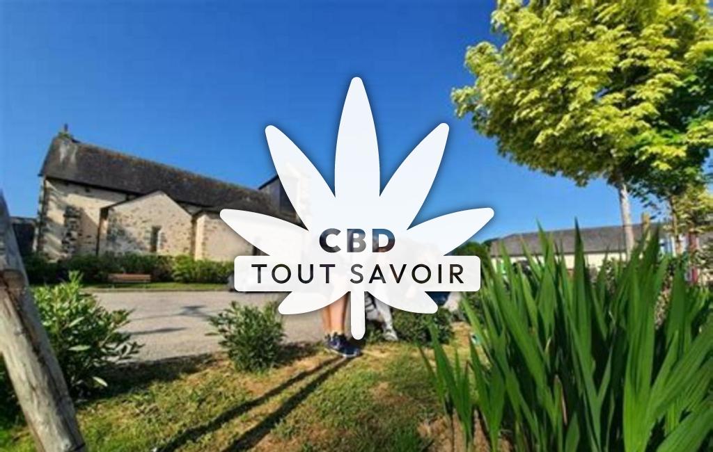 Village à Beyssenac avec feuille Cannabis CBD