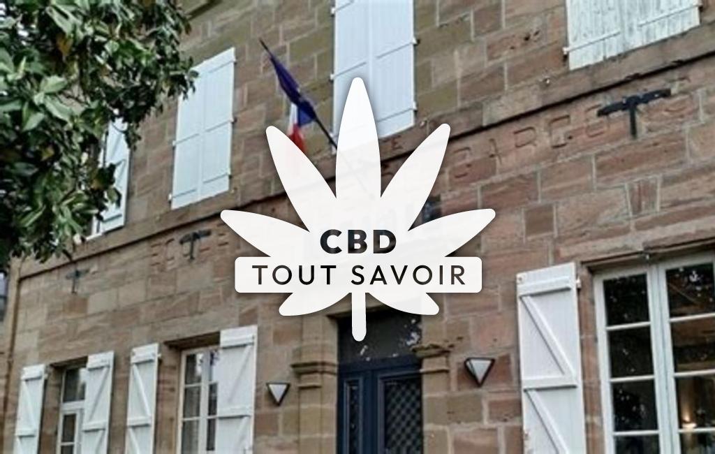 Village à Varetz avec feuille Cannabis CBD
