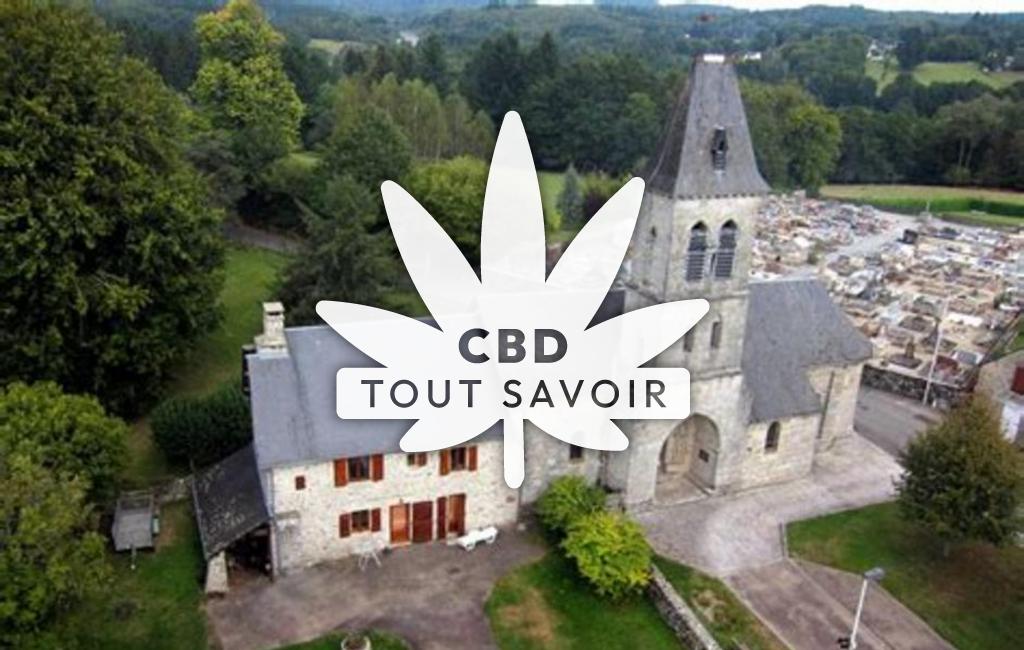 Village à Maussac avec feuille Cannabis CBD