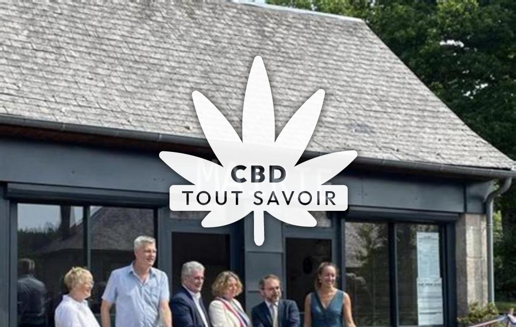 Village à Saint-Sulpice-les-Bois avec feuille Cannabis CBD