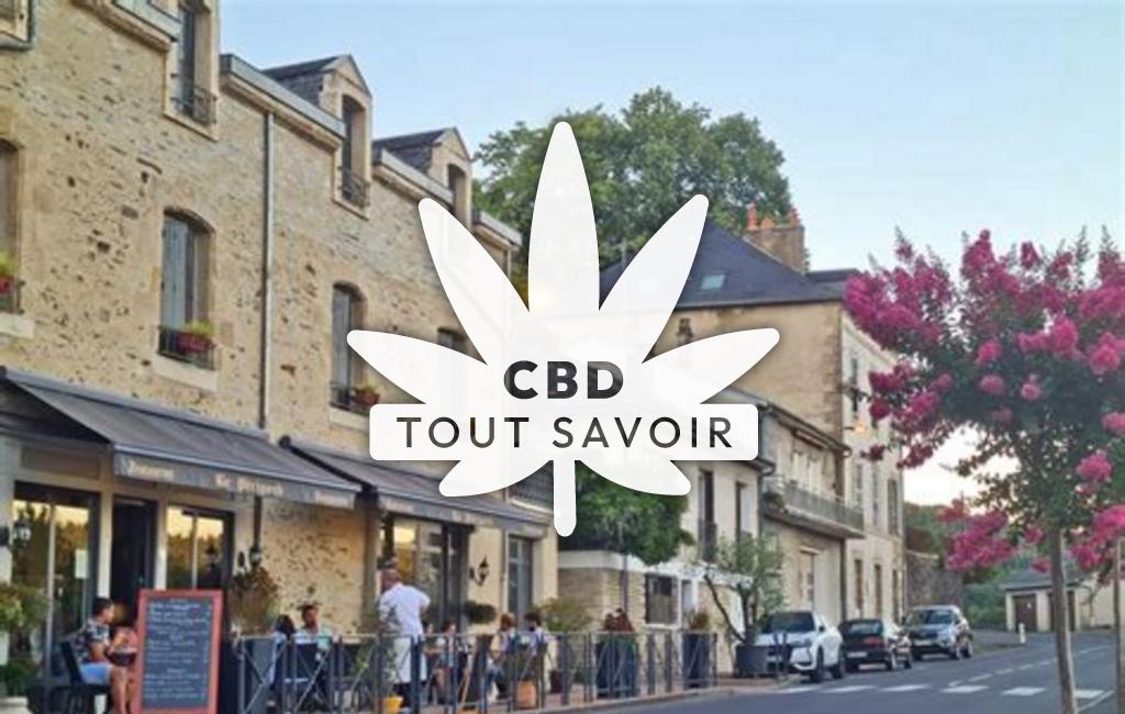 Village à Donzenac avec feuille Cannabis CBD