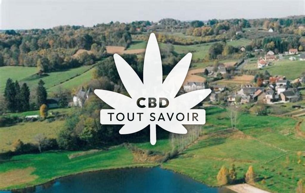 Village à Saint-Pardoux-l'Ortigier avec feuille Cannabis CBD