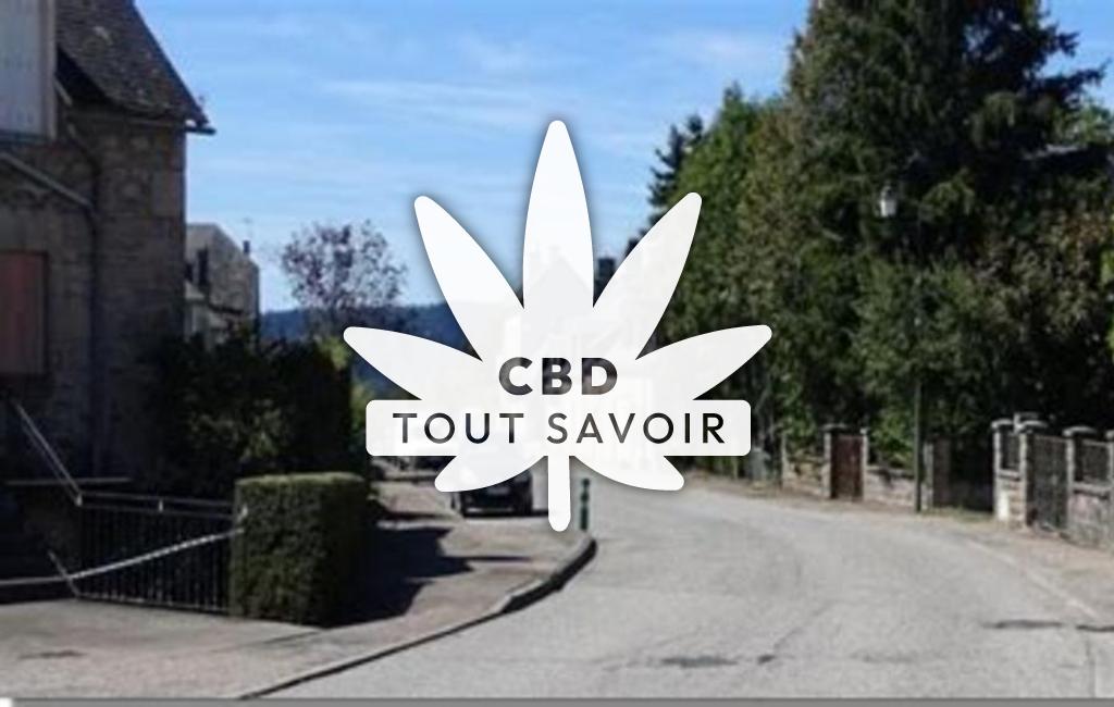 Village à Saint-Yrieix-le-Dejalat avec feuille Cannabis CBD