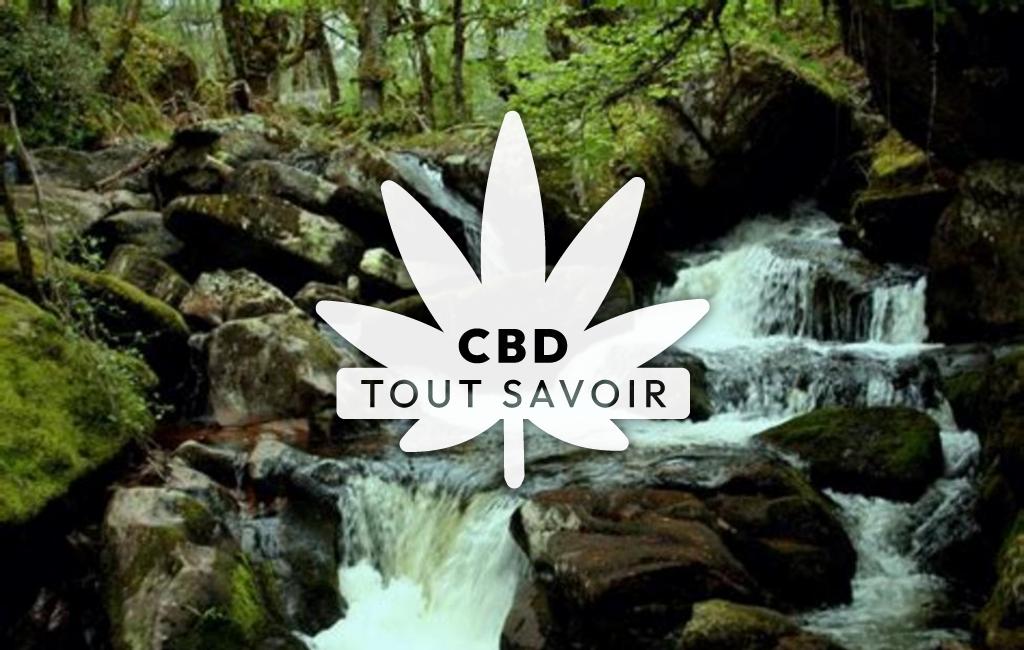 Village à Soudeilles avec feuille Cannabis CBD