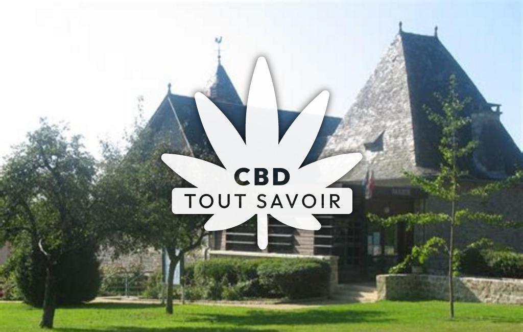 Village à Saint-Germain-les-Vergnes avec feuille Cannabis CBD