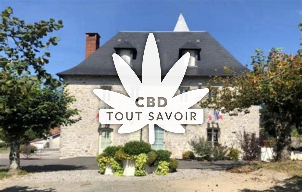 Village à Saint-Mexant avec feuille Cannabis CBD