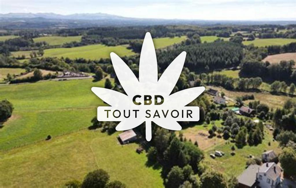 Village à Feyt avec feuille Cannabis CBD